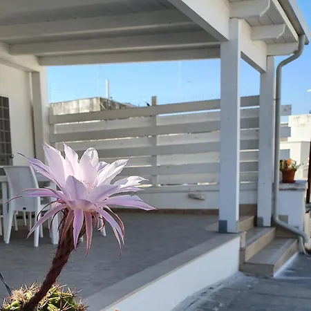 Apartamento La Terrazza